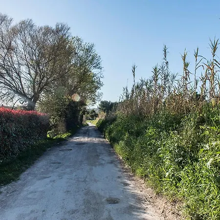 S299 - Sirolo, Trilocale In Aperta Campagna *